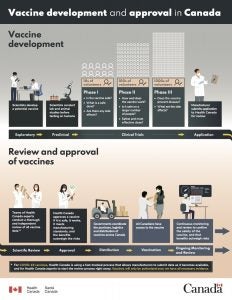 Infographic: vaccine development and approval in Canada